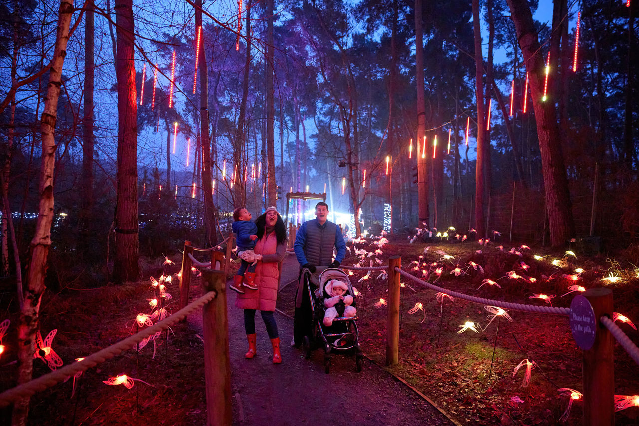 A family in the forest surrounded by fairy lights
