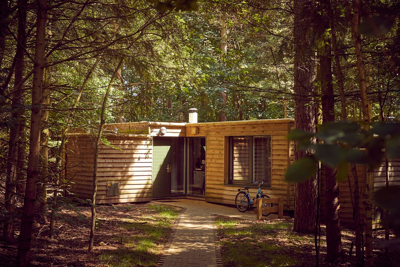 Woodland lodge nestled in the forest.