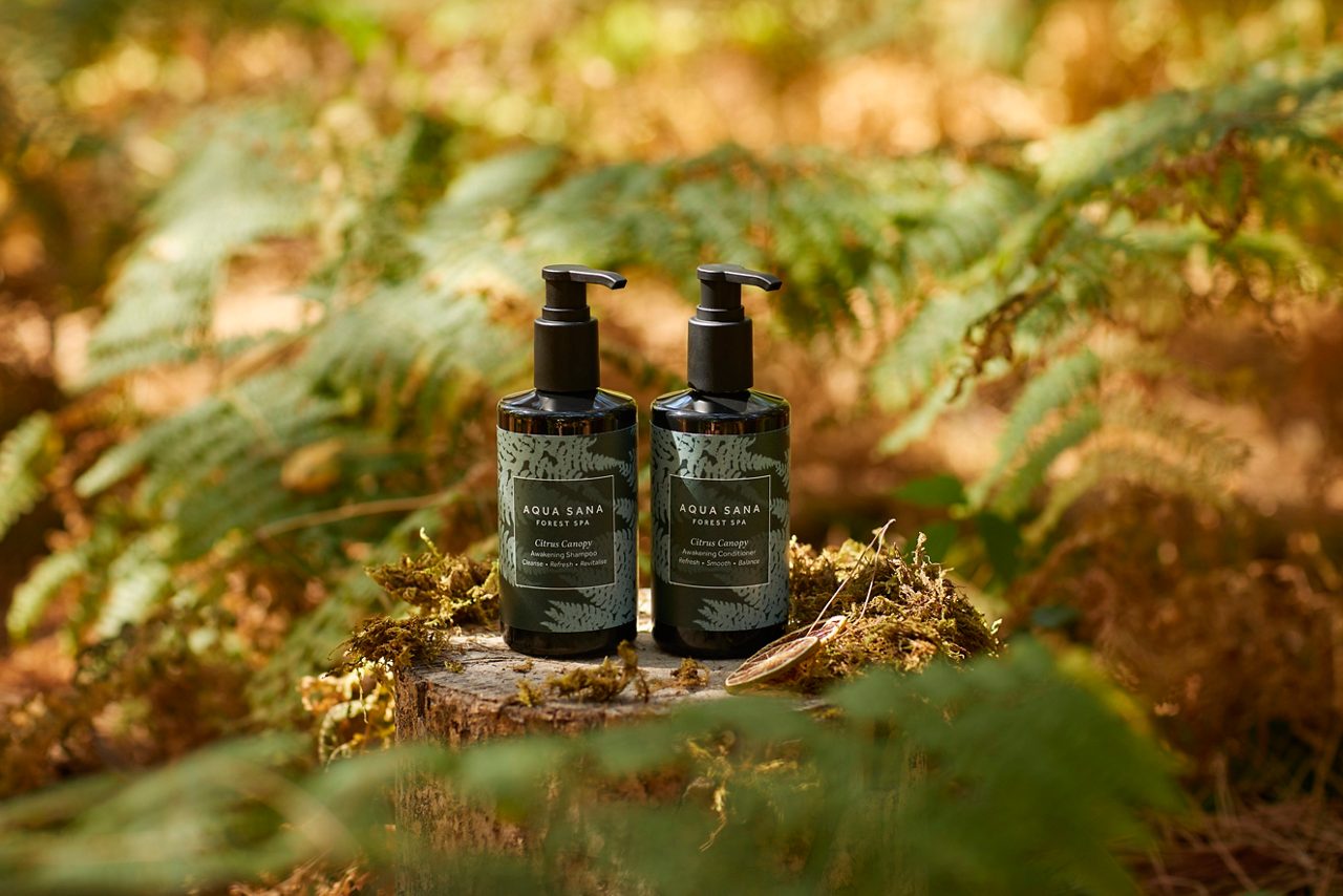 Shampoo and Conditioner 