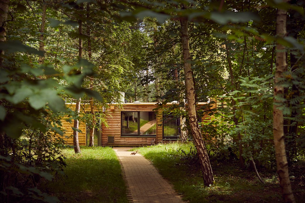 EF WOODLAND LODGE EXTERIOR 3