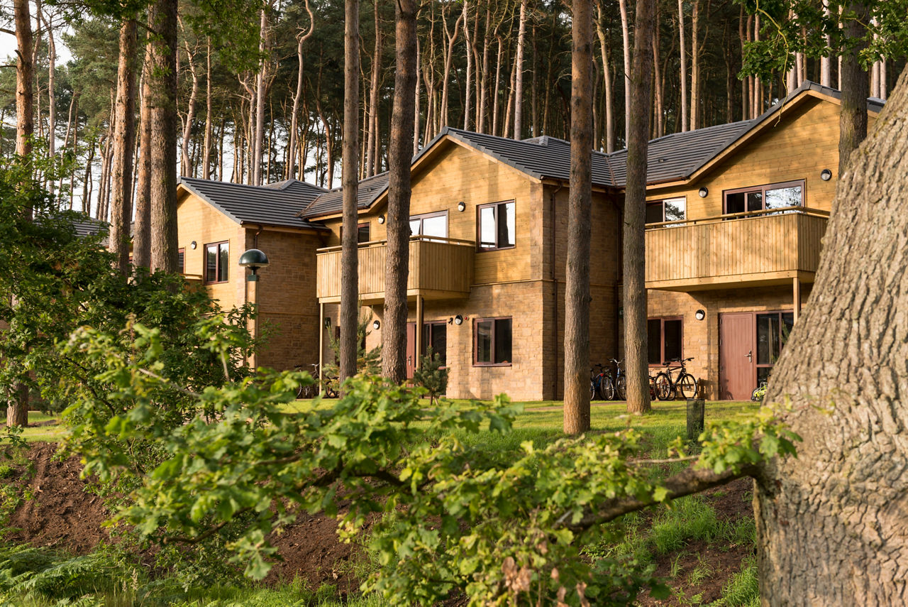Forest Lodges nestled in the forest.
