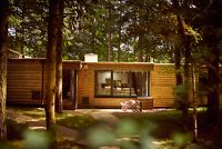 Center Parcs Treehouses — interior and exterior view 32