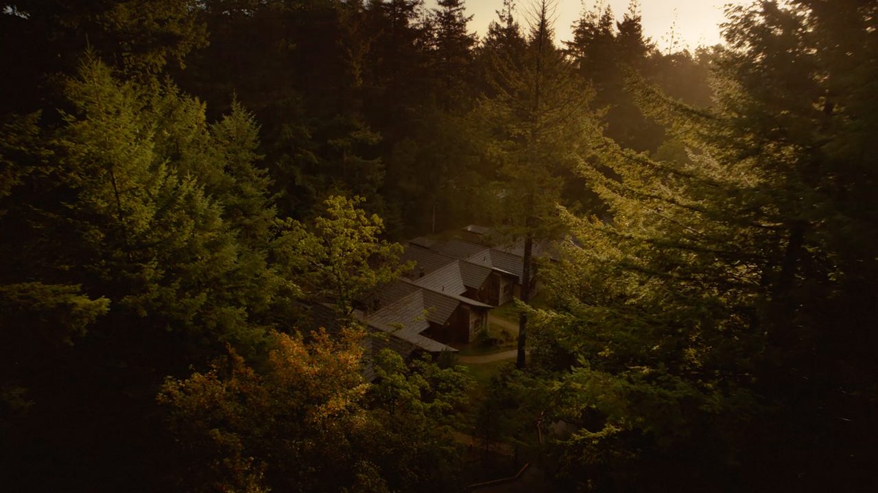 Treetop view of lodges nestled in the heart of the forest.