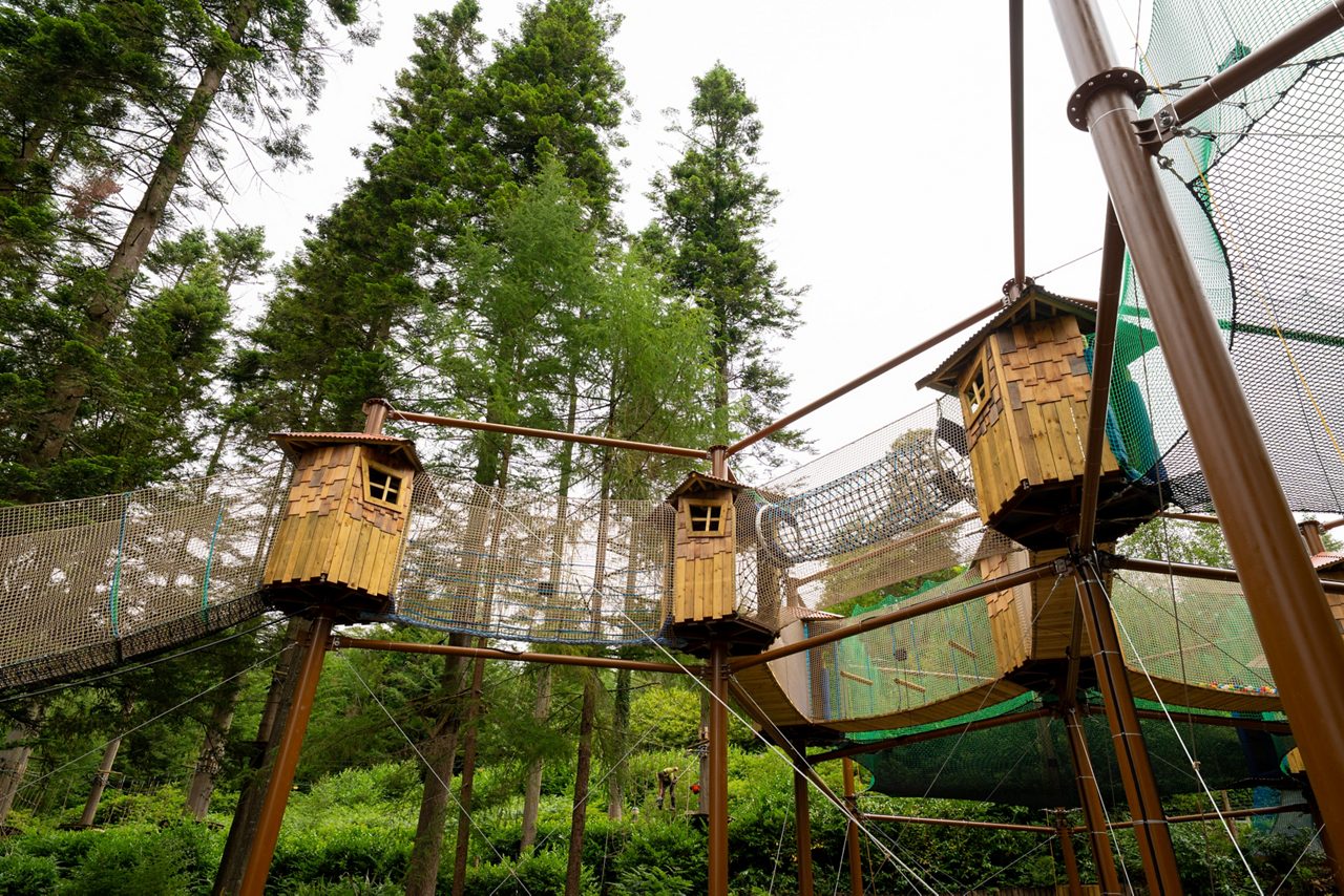 Adventure Nets course suspended in the trees.