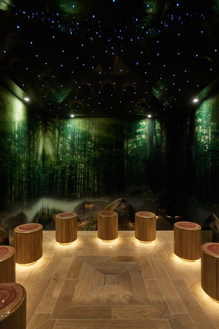Forest themed steam room with tree trunk seating and twinkling lights.