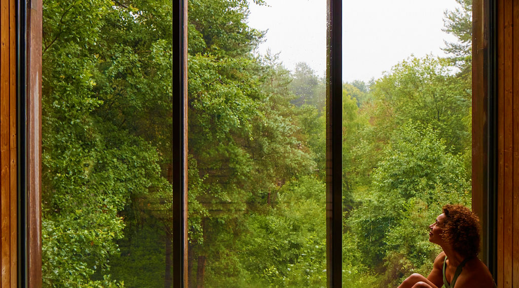 Woman sat looking out at the forest from inside the Treetop Sauna.