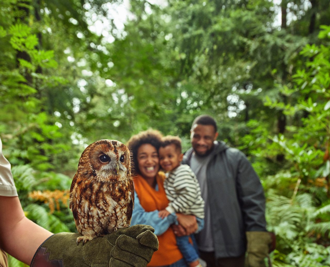A family swimming in the indoor pool with their toddler.