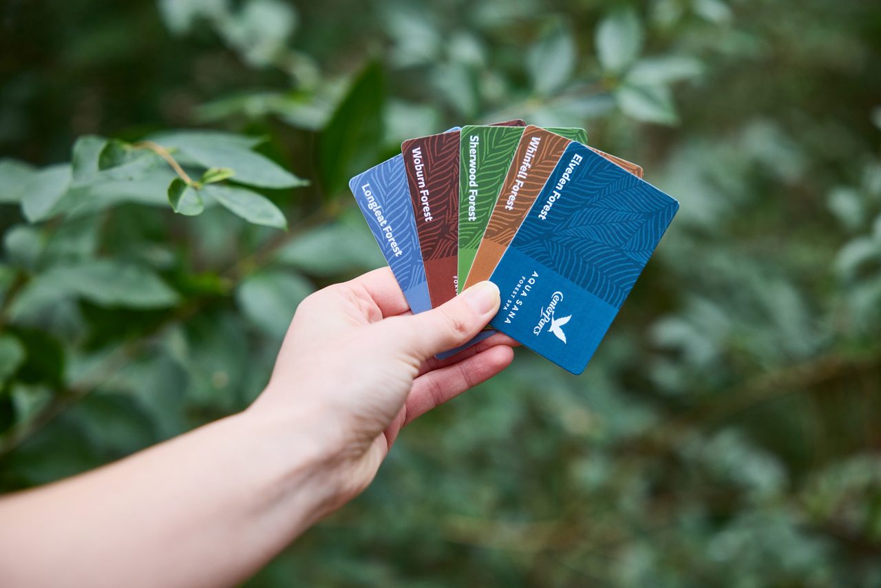 Six Center Parcs gift cards.