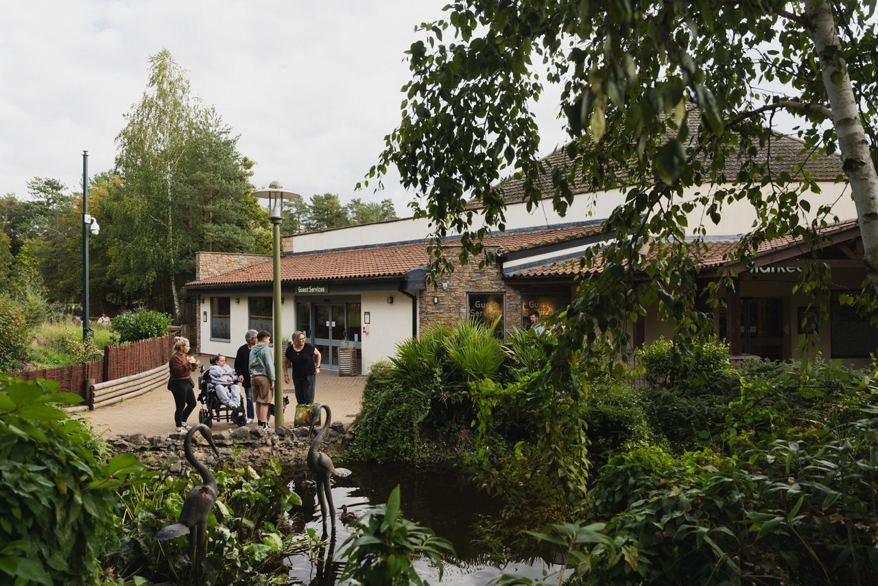 A lodge in the forest
