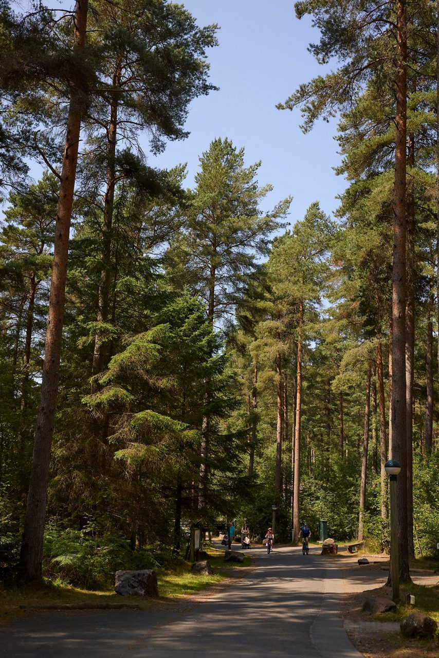 nature image