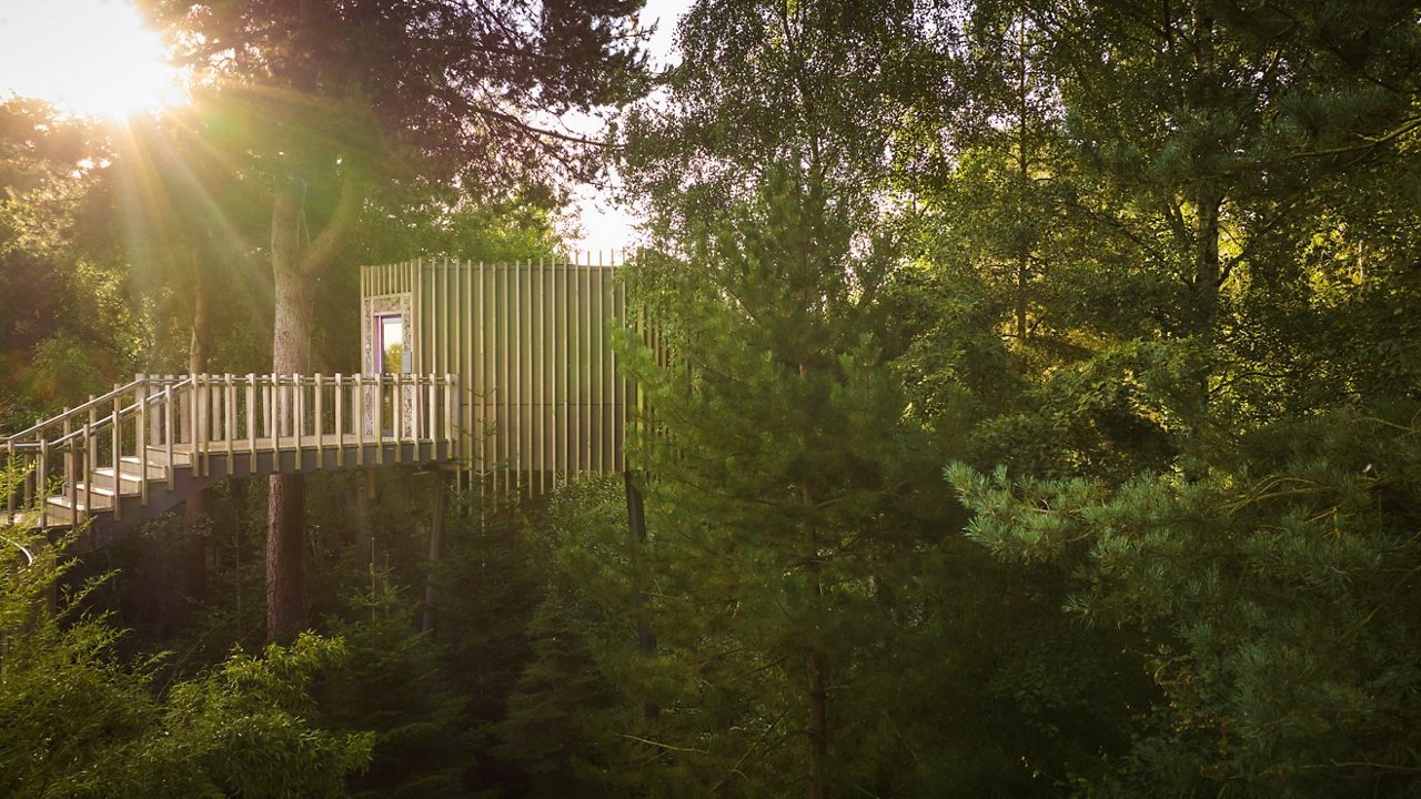 large wooden sauna elevated in the trees with the sun shining through the forest leaves