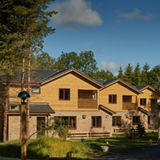 Forest Lodges nestled in the forest.