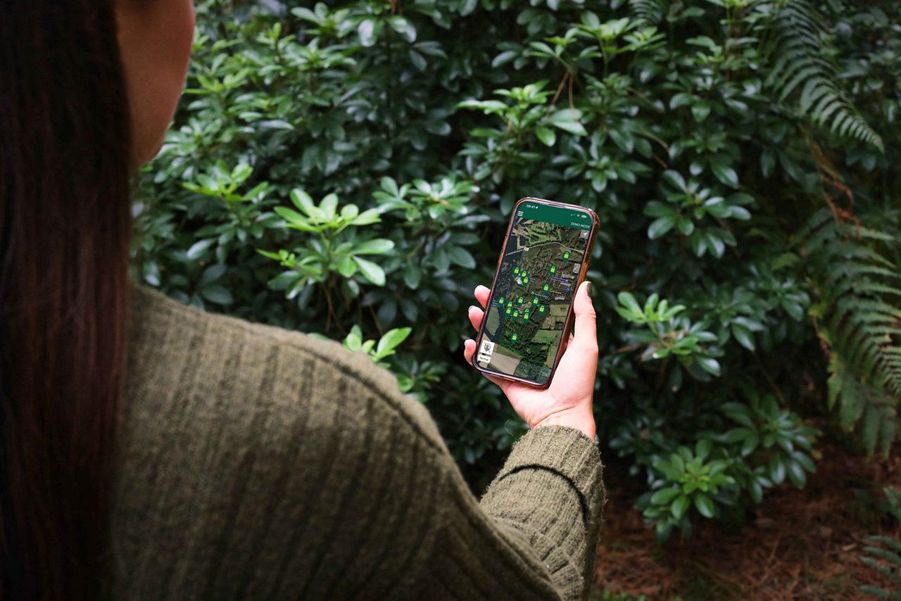 Woman with her back to the camera. She is looking at an interactive map of the forest on her phone.