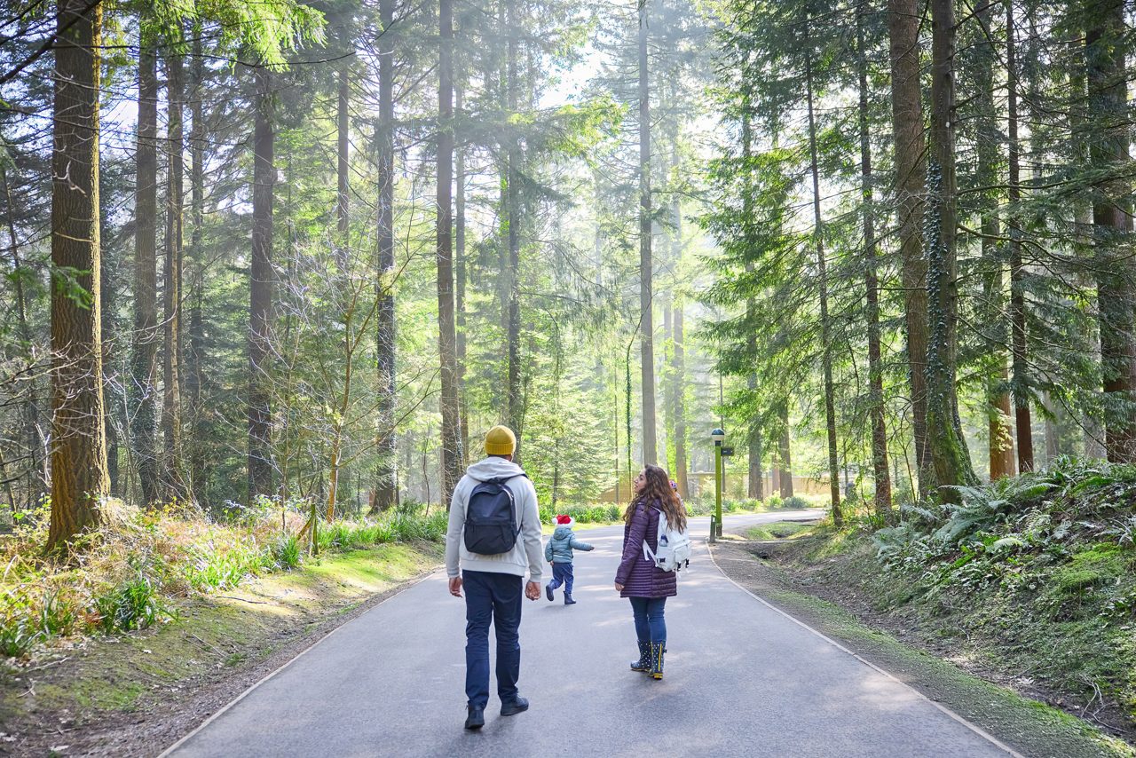 family walking through forest