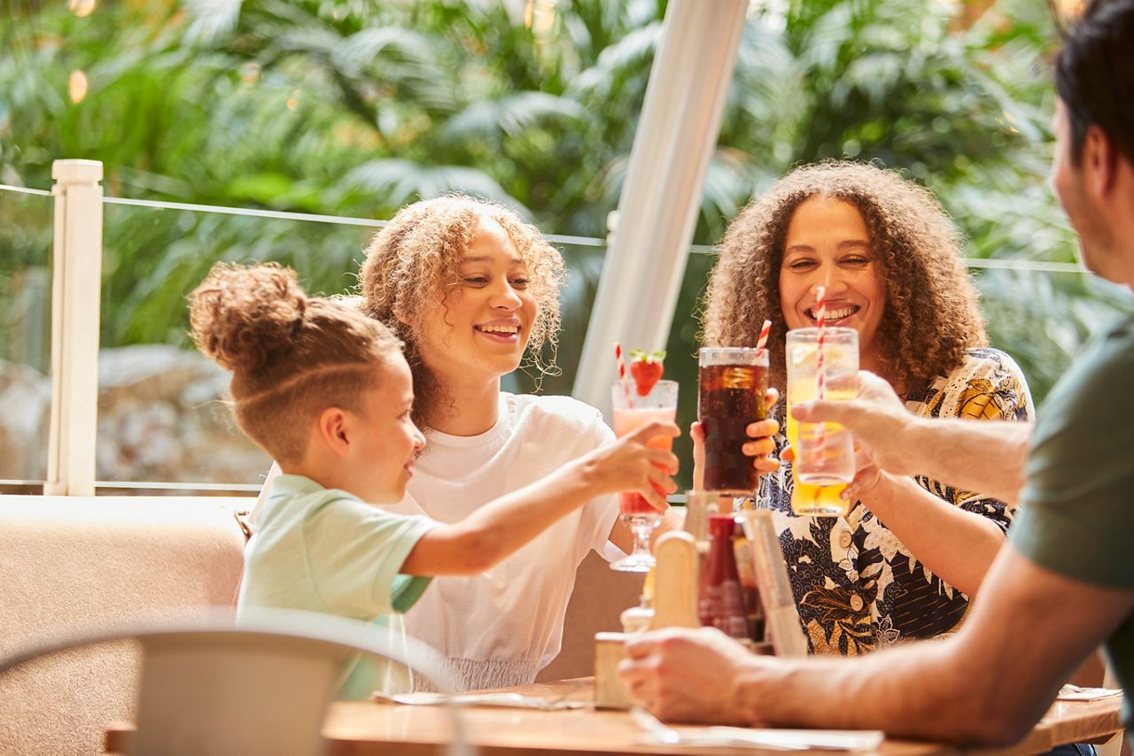 Four people toast with colorful drinks, smiling and clinking glasses. Seated at a restaurant table with condiments and menus, surrounded by lush greenery and bright daylight through glass.