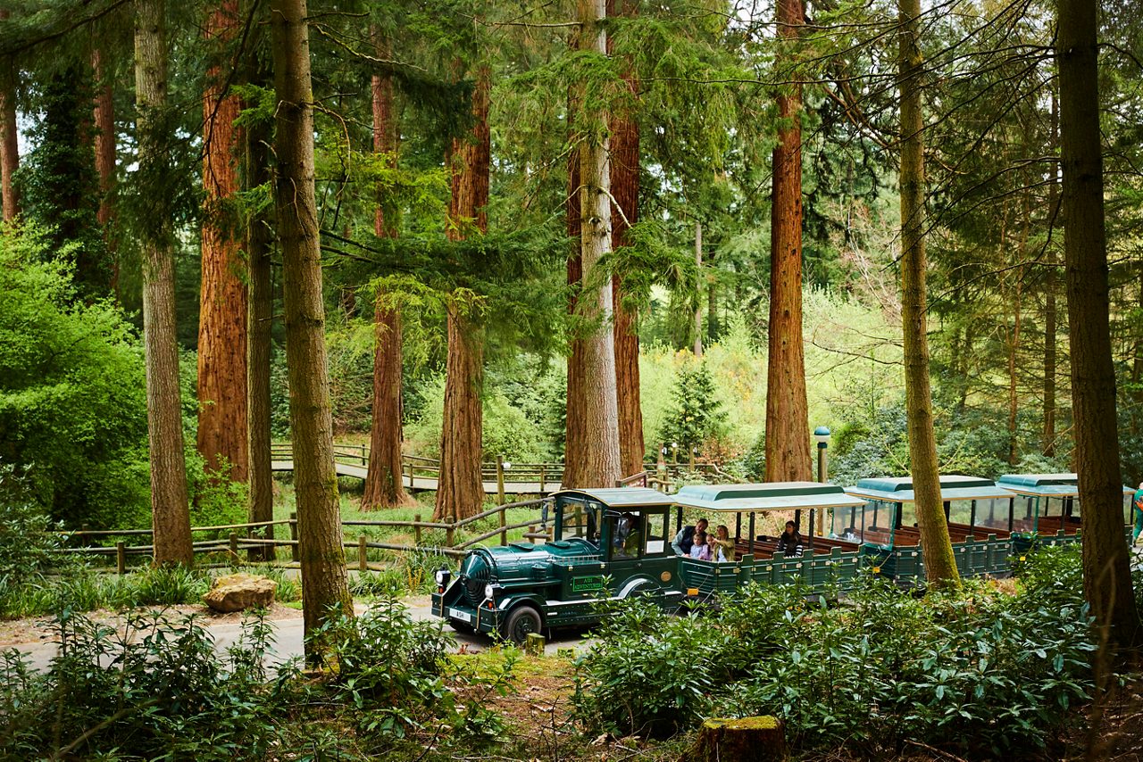 SPRING LF LAND TRAIN 8