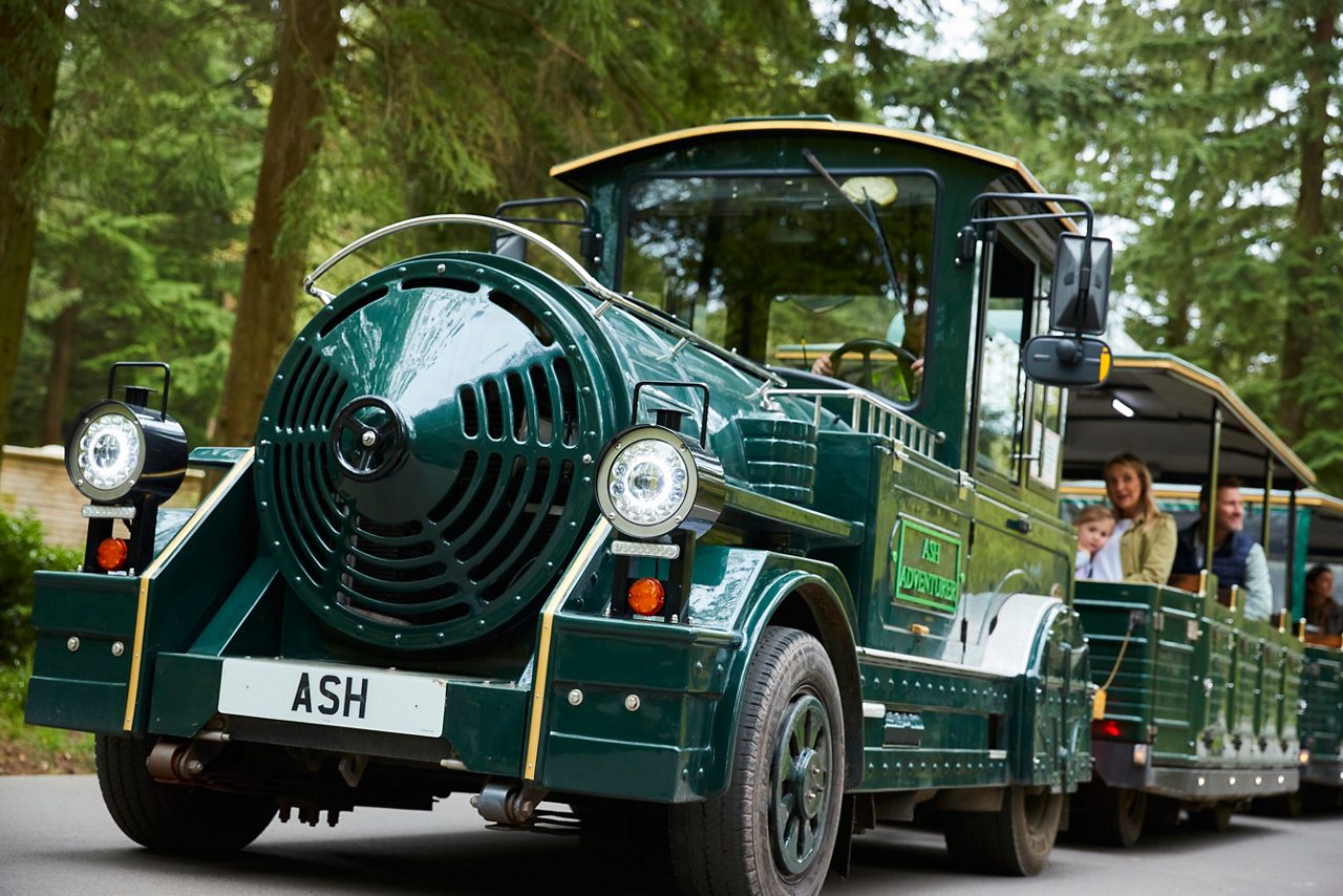 LF land train in the forest 