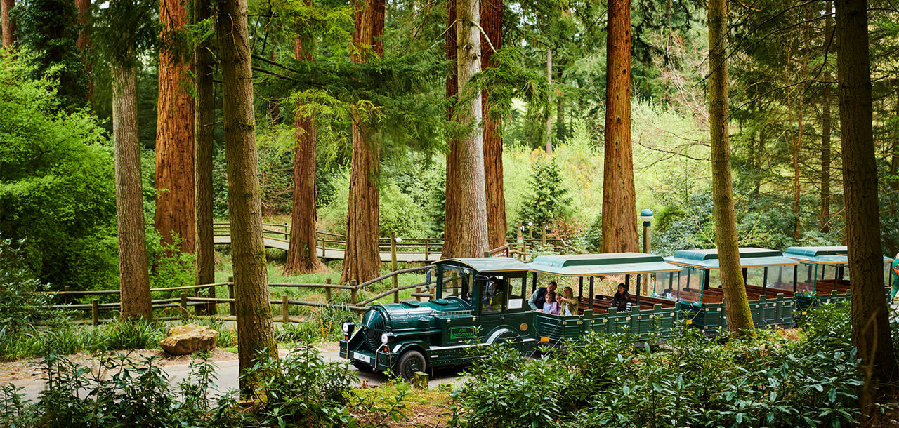 Center Parcs Treehouses — interior and exterior view 10