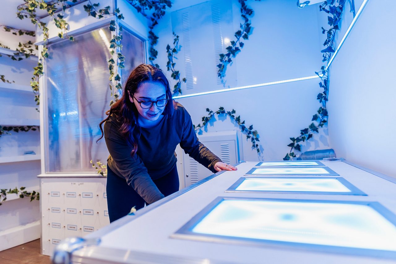 A view of someone playing inside the clear cube Arena. 