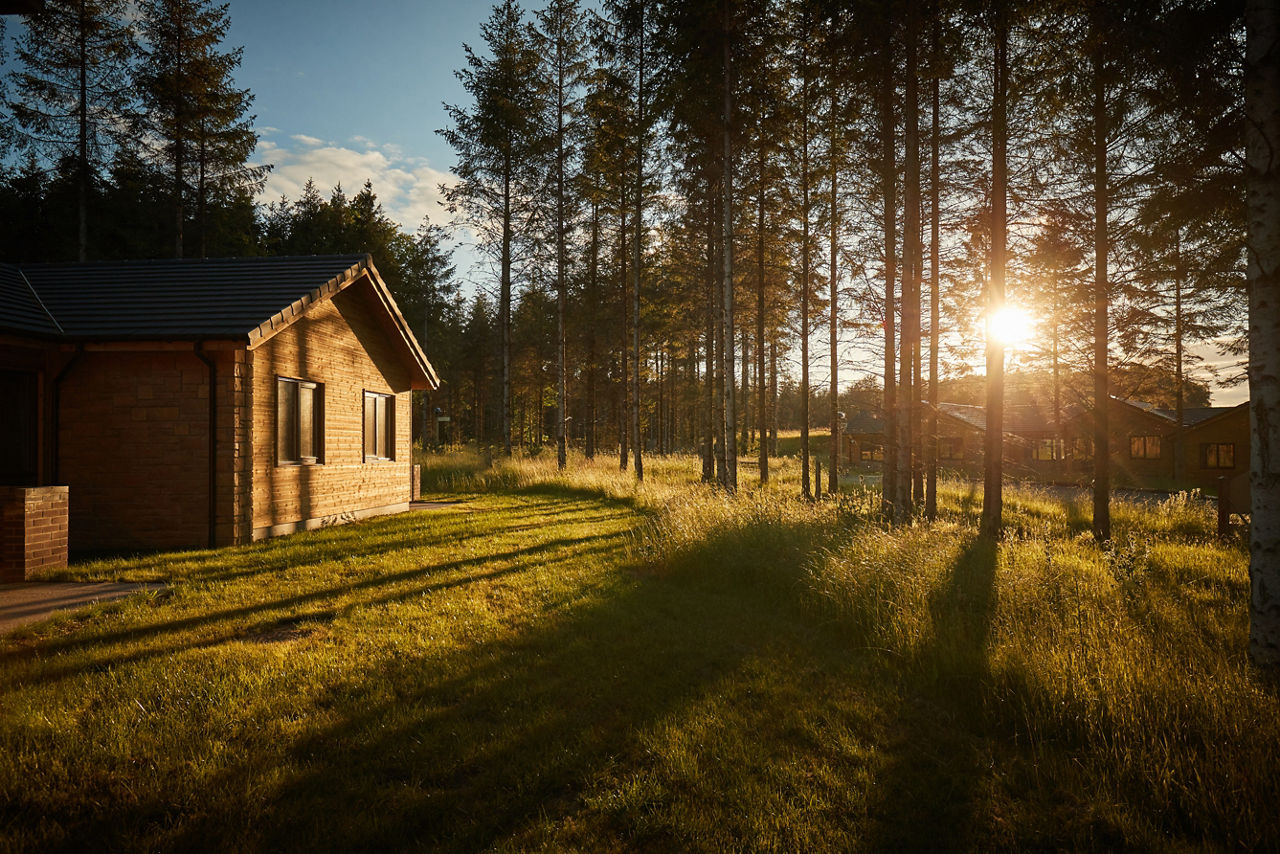 Cabin catches warm sunlight, casting long shadows across a grassy clearing; tall pine trees filter the low sun, with additional cabins visible deeper in the forest.
