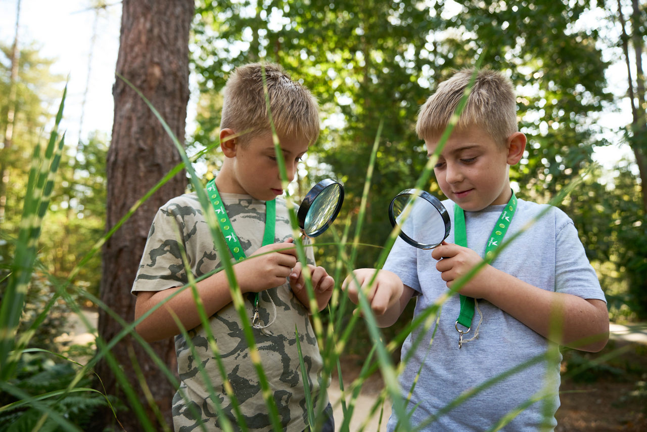 Two young boys looking at insects through a microscope.