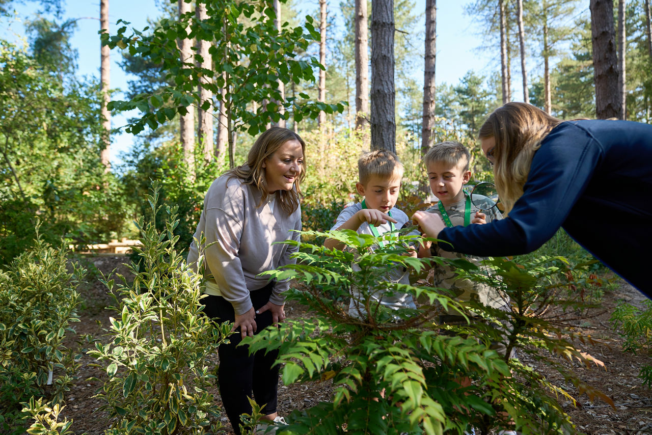 Toddler on his scooter.