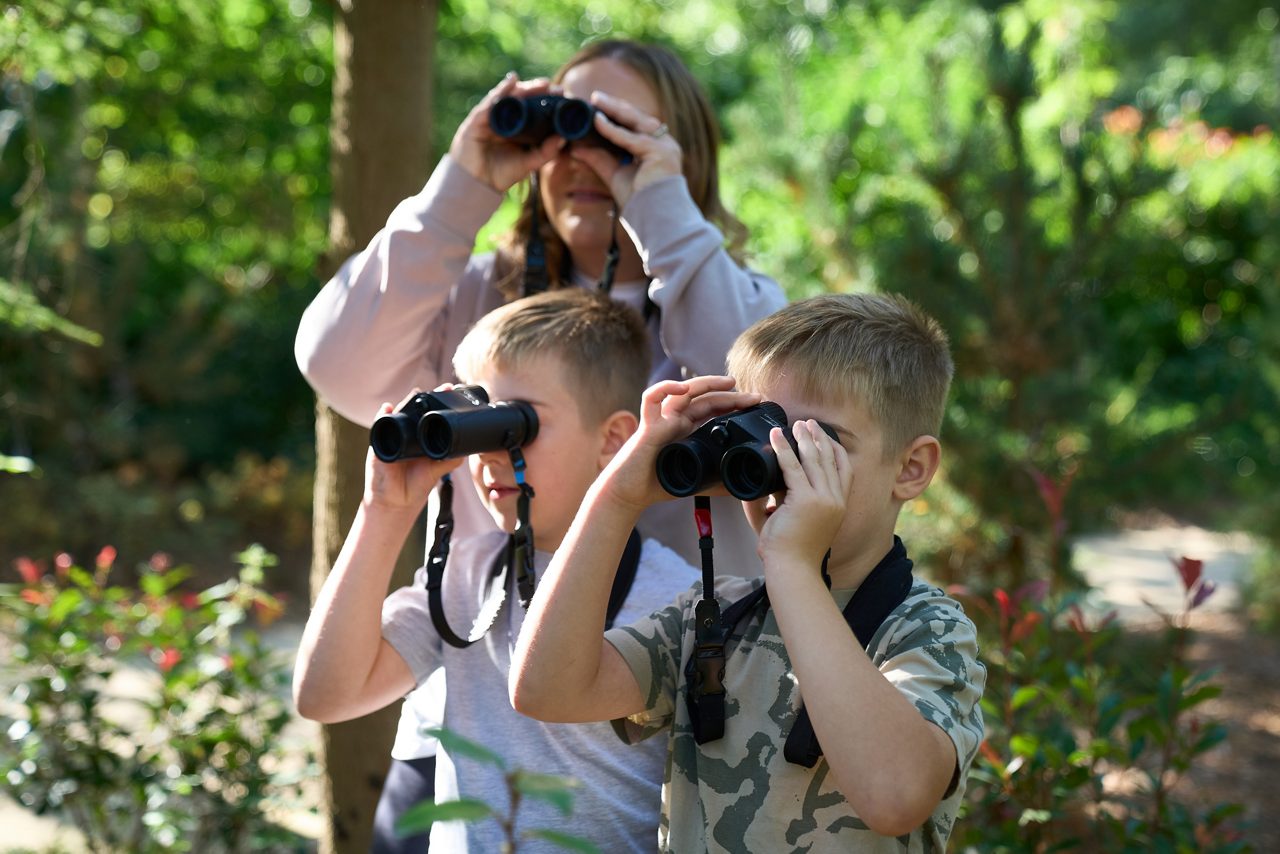 SF - Nature Walk. Minimum Age 4.