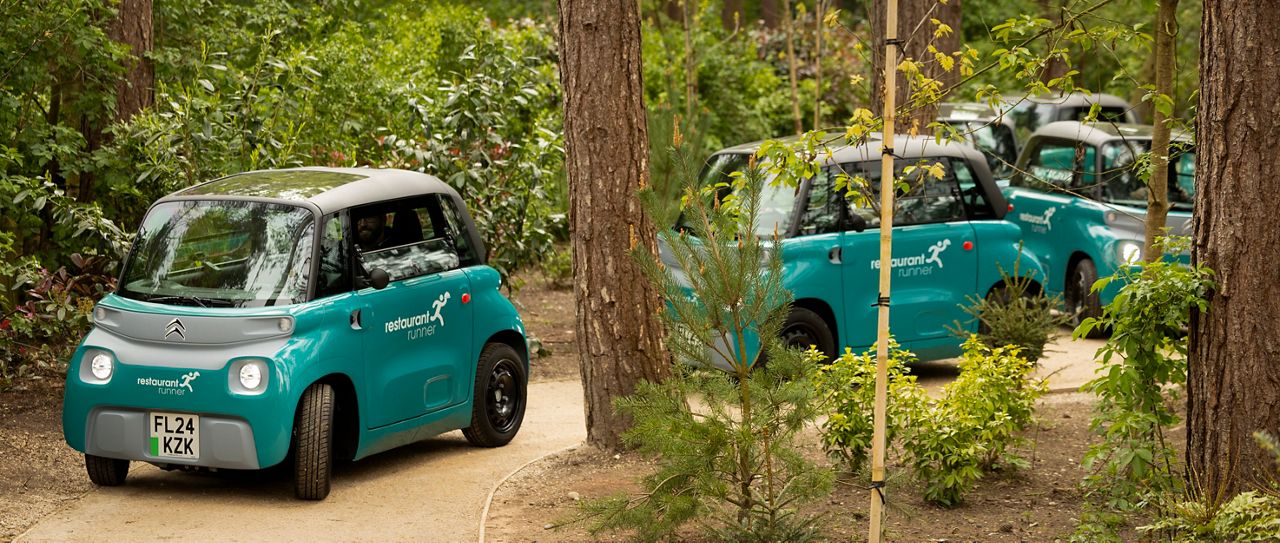 Teal electric cars used to deliver food to lodges.