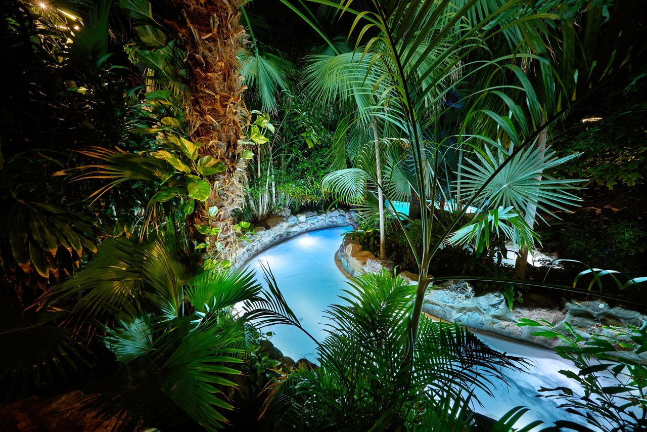 A view of the wild water rapids, lit up in the dark surrounded by tropical trees. 