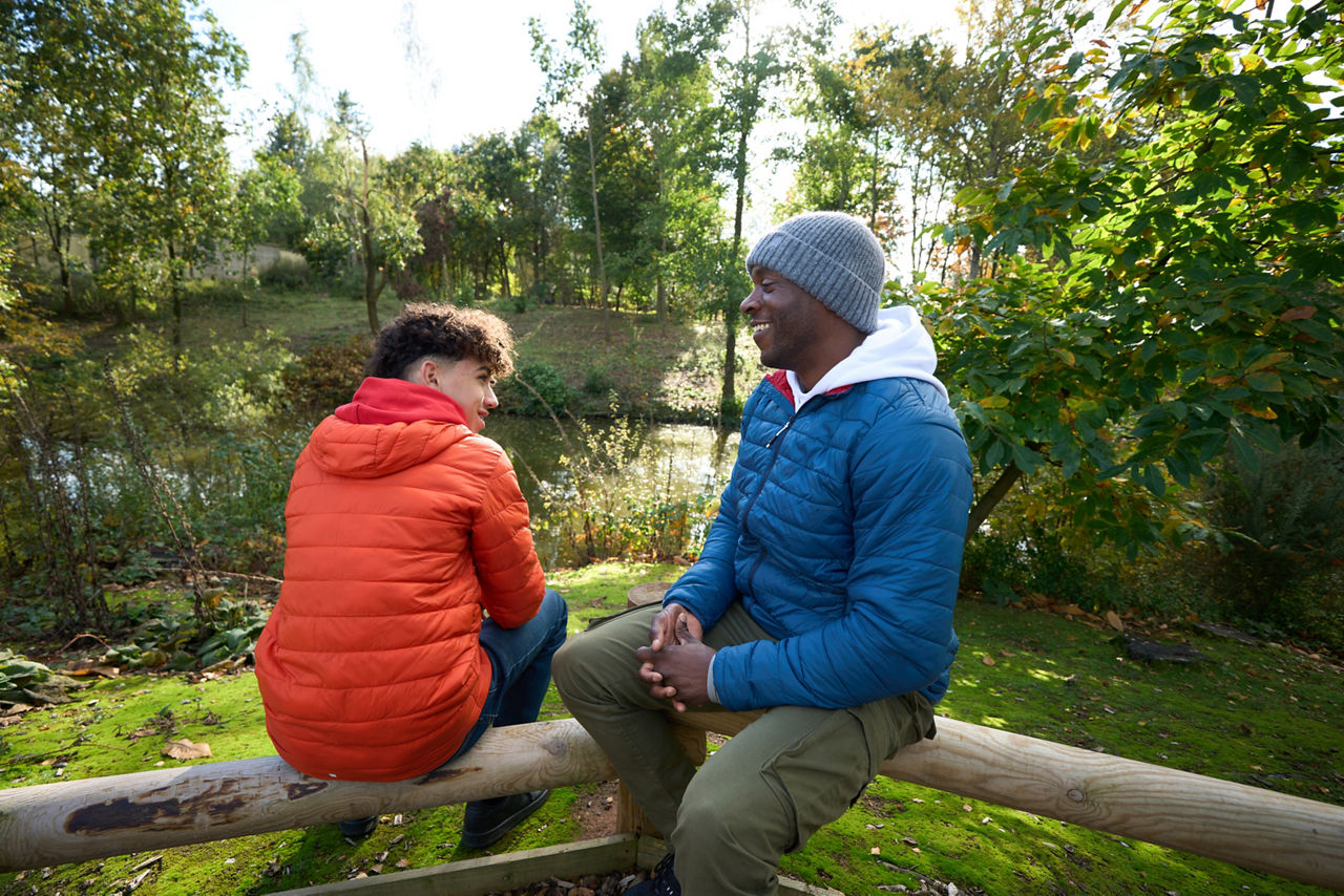 Elveden Forest aerial view.