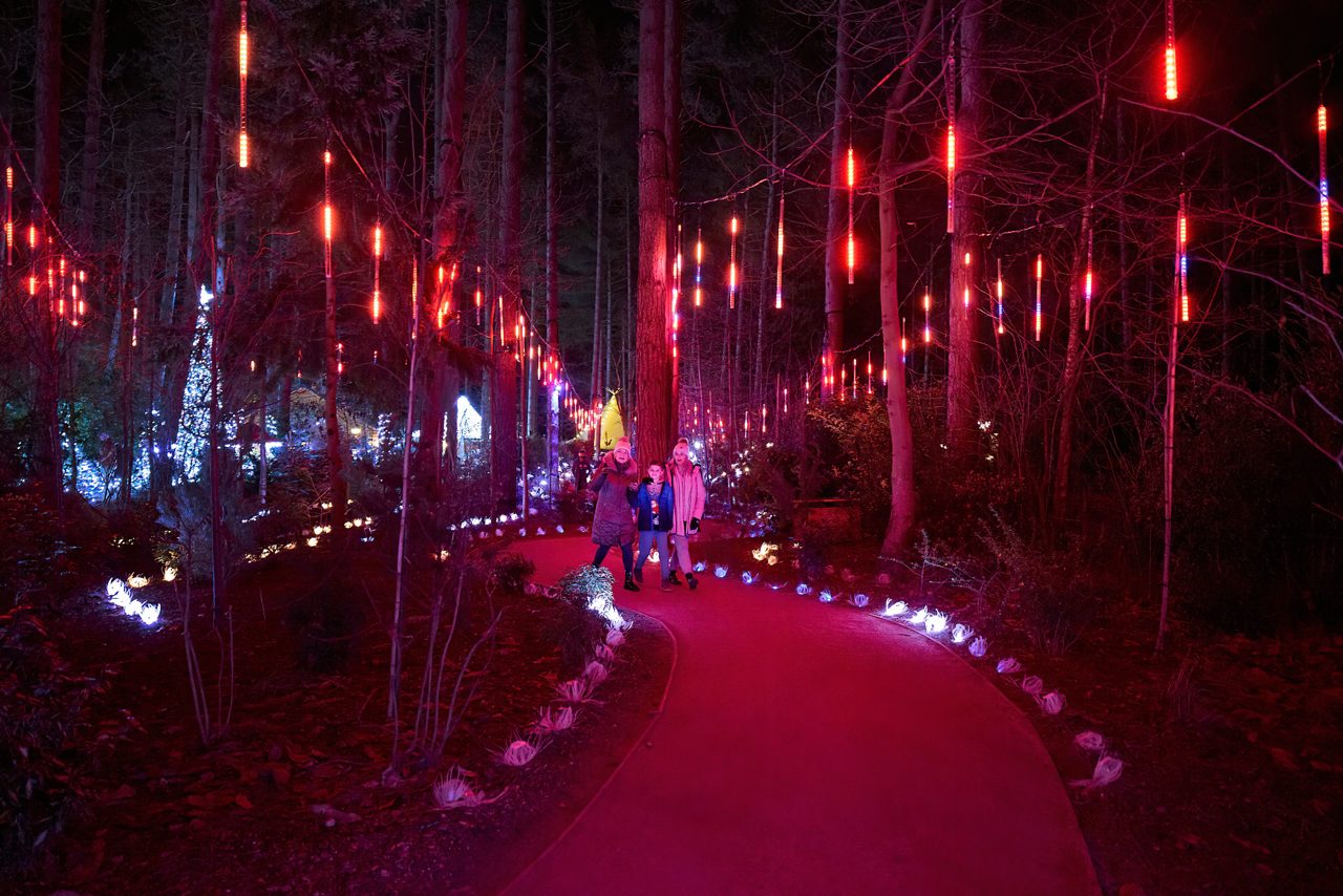 SF WWL - Enchanted Light Garden