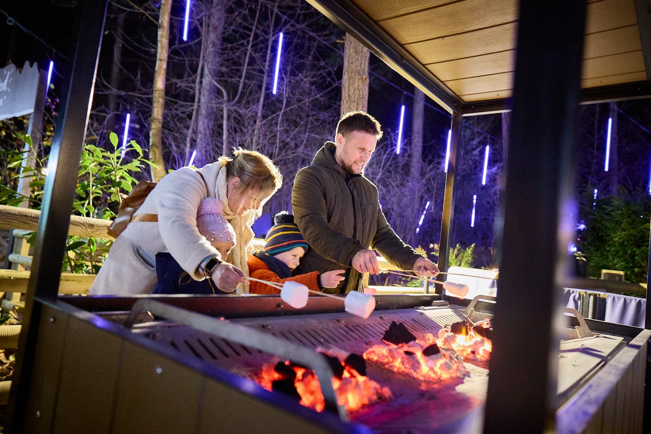 winter and festive breaks