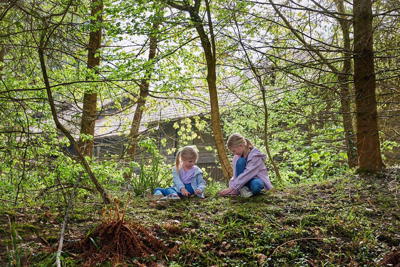children playing in forest