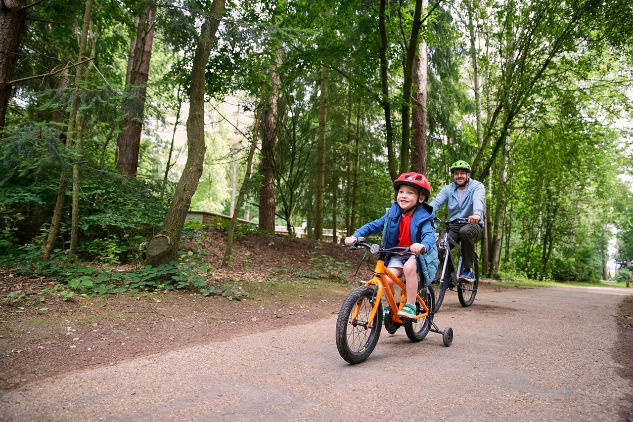 father and son riding bikes through the forest
