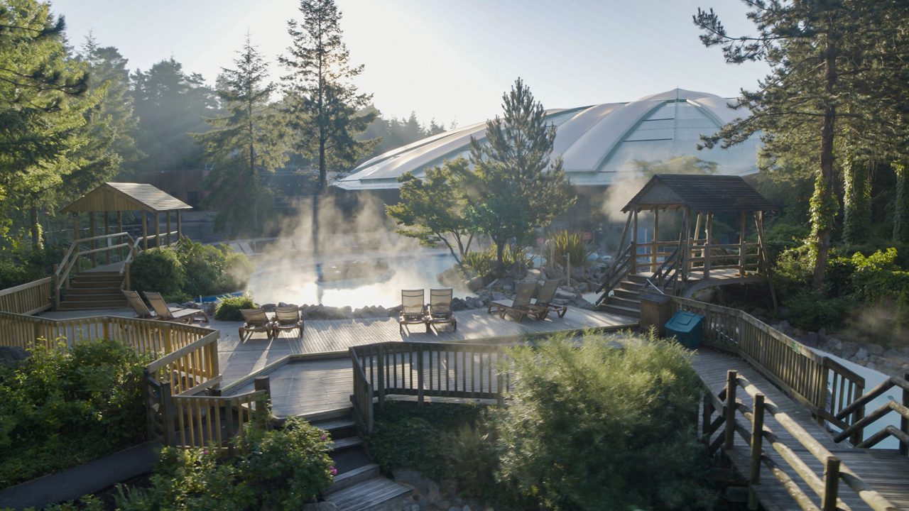An image of the Giant Redwood forest at Longleat Forest.