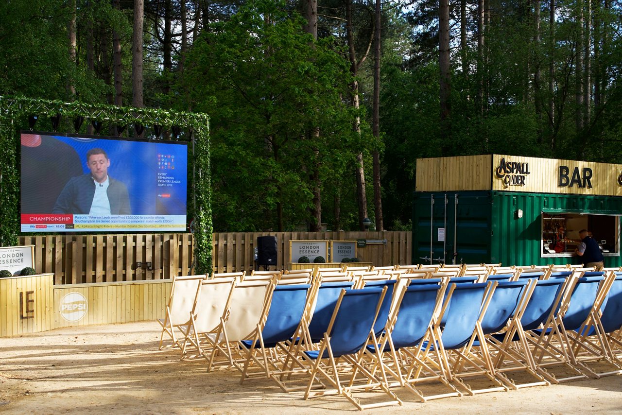 AI generate image of the Forest Summer Social.