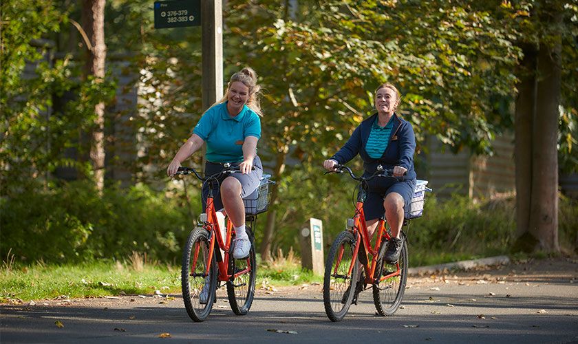 Staff members cycling through the forest.