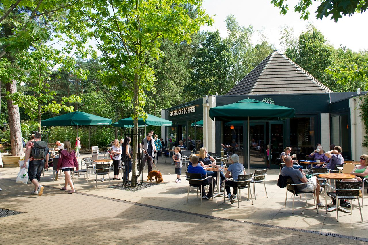 Exterior of starbucks building surrounded by forest trees