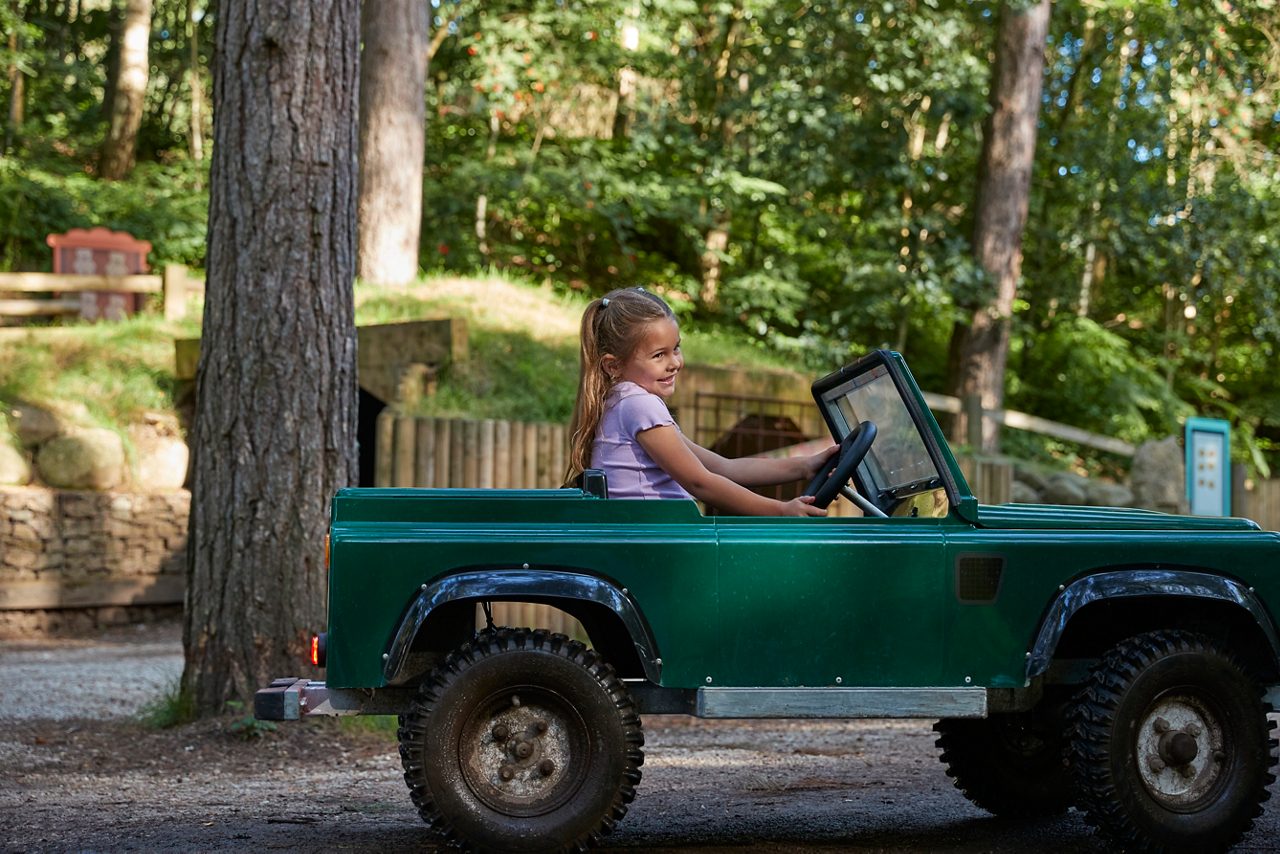 child swinging through the trees