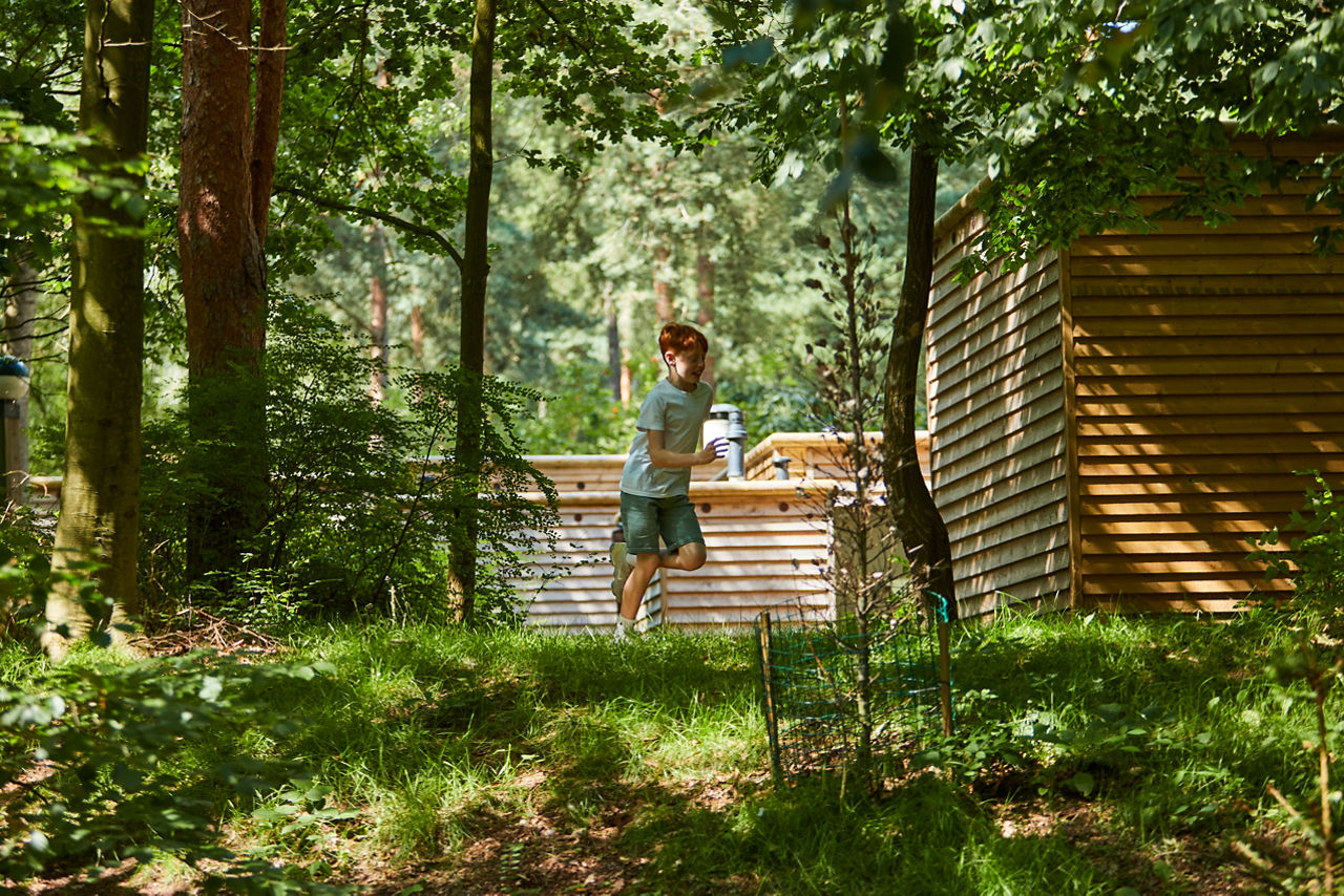 Children exploring the forest