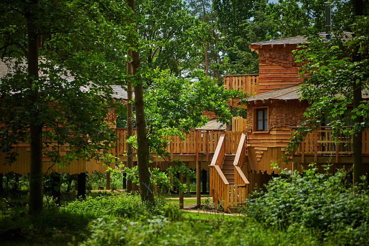 Treehouse in the golden sunset.