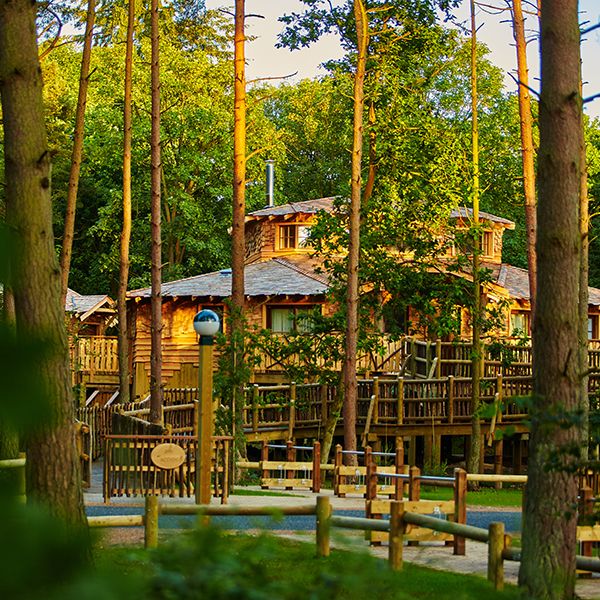 Treehouse accommodation