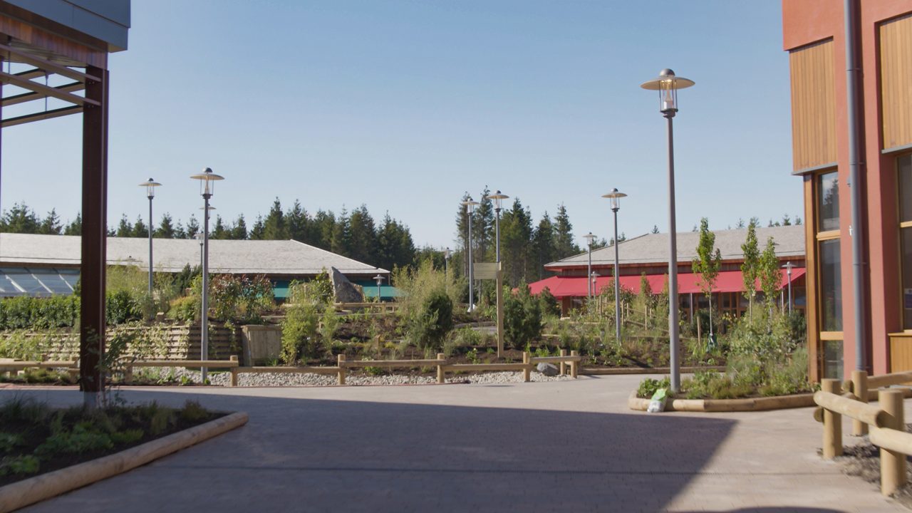 VILLAGE SQUARE DRONE IRE 4