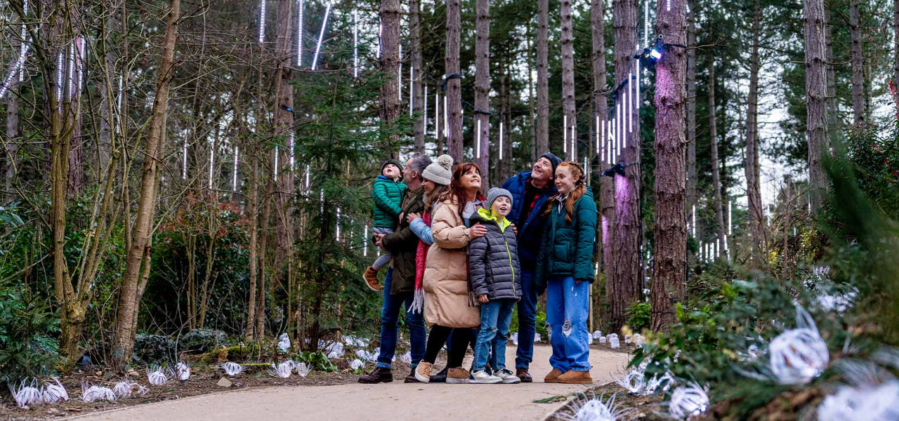 People exploring Winter Forest Lights.