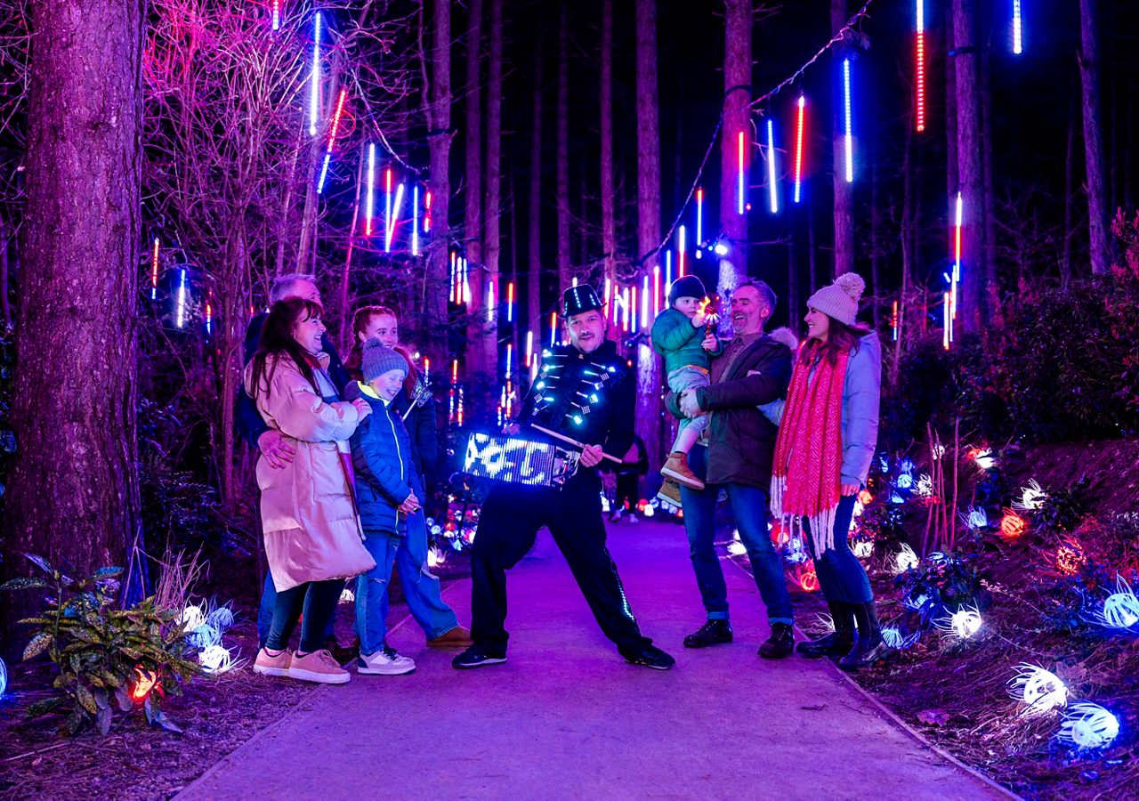 Group enjoying a drummer in an illuminated forest area.