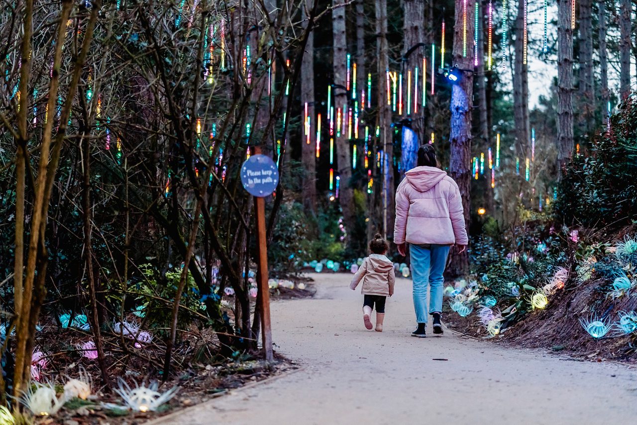 A family in the forest surrounded by fairy lights