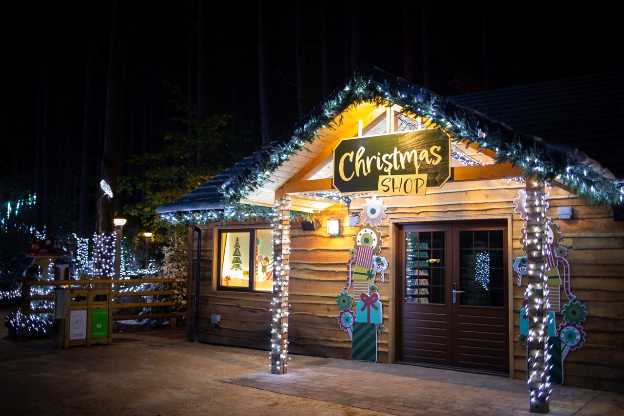 WWL at Sherwood Forest Center Parcs - Night time