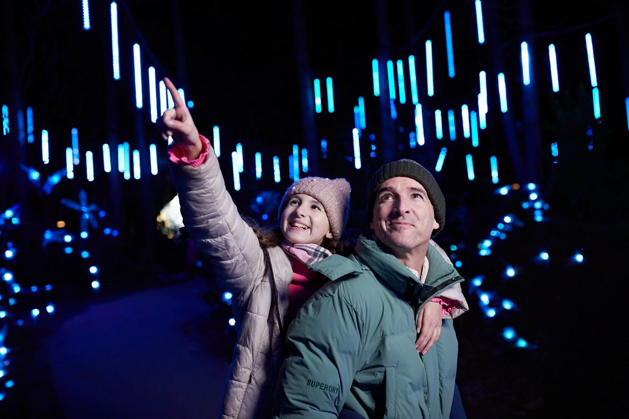 Family looking at the light displays.