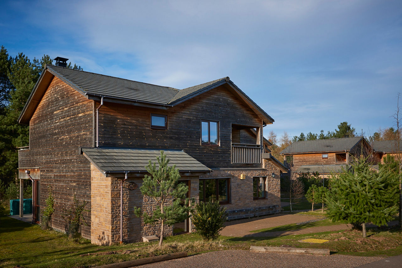 Forest Lodges nestled in the forest.