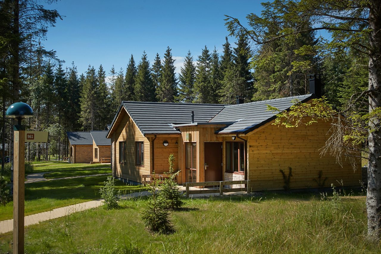 Woodland Premium lodge